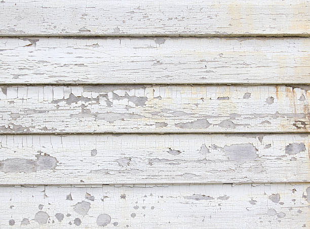 Trusted Orwigsburg, PA Junk Removal Experts